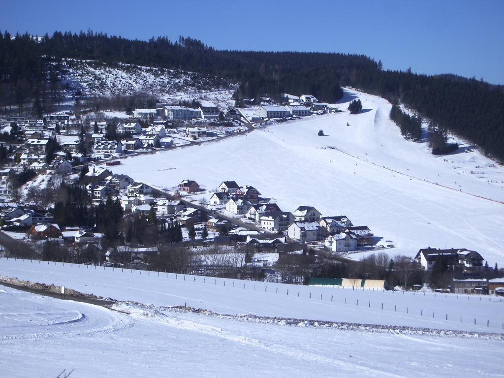 Ferienwohnung Zum Ritzhagen Willingen  Zewnętrze zdjęcie