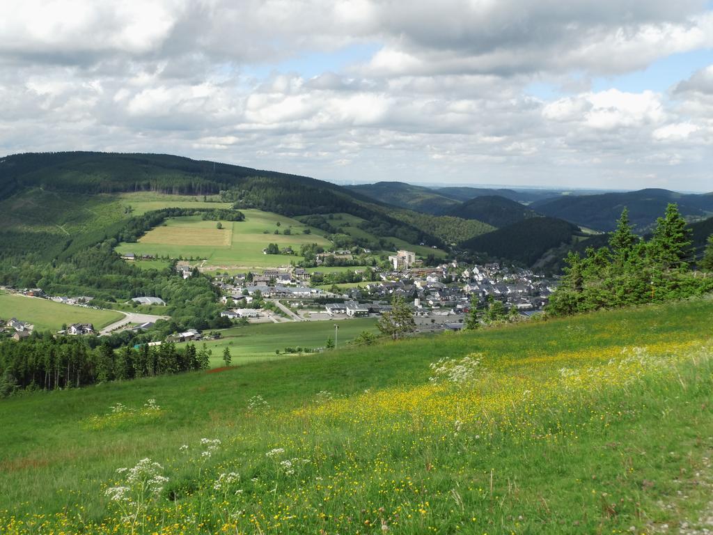 Ferienwohnung Zum Ritzhagen Willingen  Zewnętrze zdjęcie